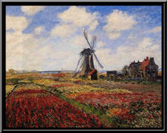 Tulpenveld in Nederland